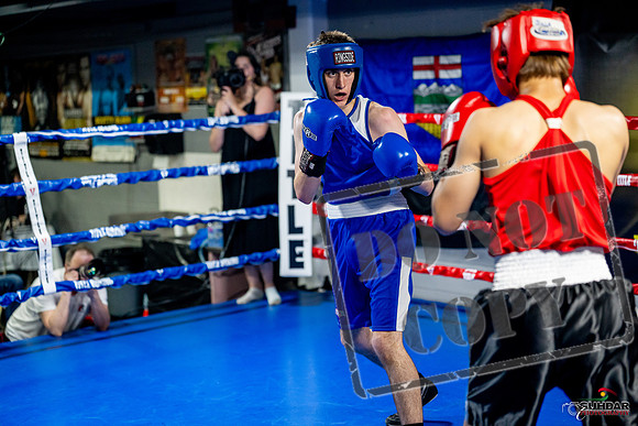 Cougar boxing June 7th 2025-0804