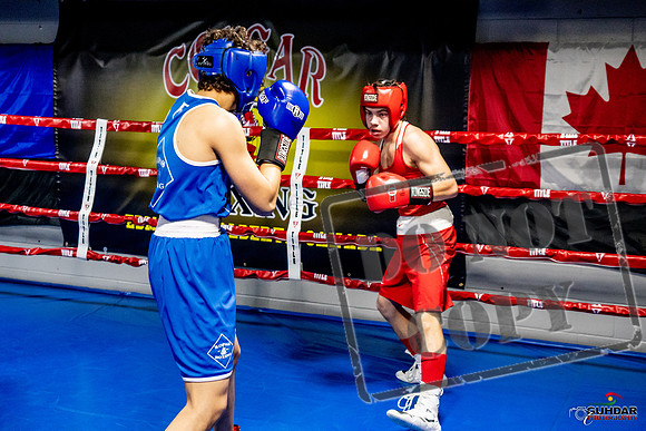 Cougar Boxing Basement Brawl -0449