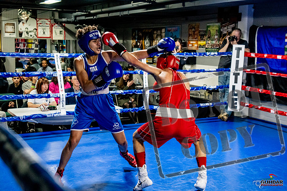 Cougar Boxing Basement Brawl -0468