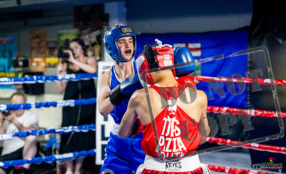 Cougar boxing June 7th 2025-0105