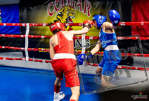 Cougar Boxing Basement Brawl -0458