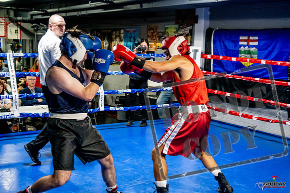 Cougar Boxing Basement Brawl -0392