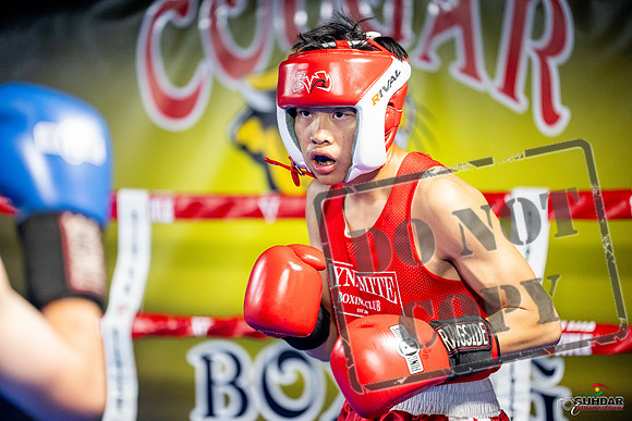 Cougar boxing June 7th 2025-0120