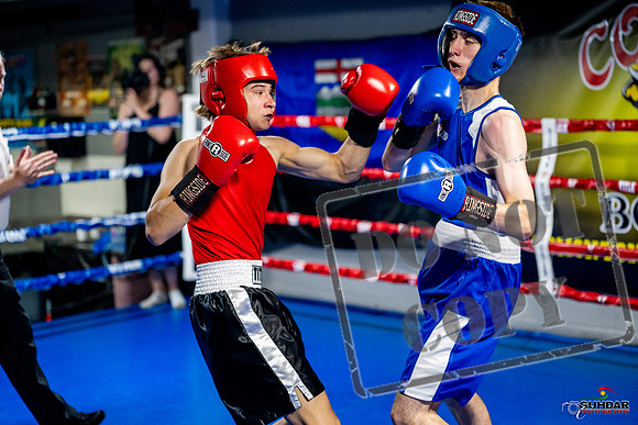 Cougar boxing June 7th 2025-0808