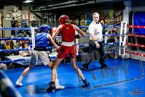 Cougar Boxing Basement Brawl -0585
