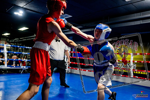 Cougar Boxing Basement Brawl -0196