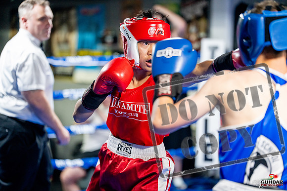 Cougar boxing June 7th 2025-0101