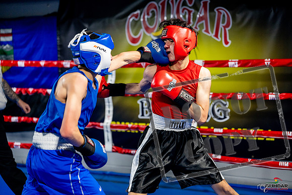 Cougar boxing June 7th 2025-0669