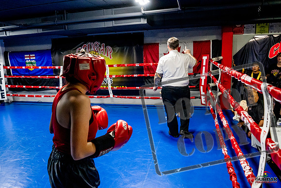Cougar Boxing Basement Brawl -0563