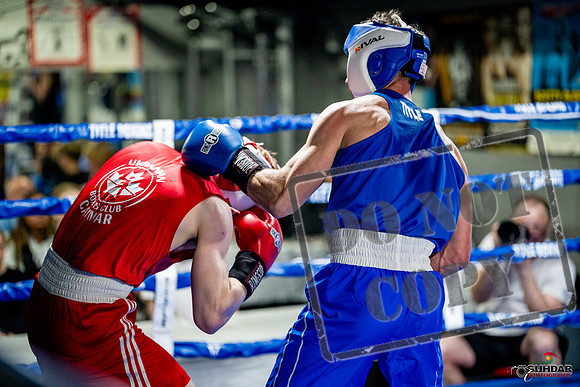 Cougar boxing June 7th 2025-0400
