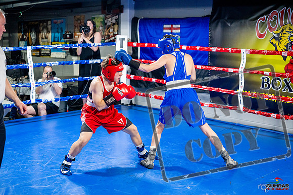 Cougar boxing June 7th 2025-0533