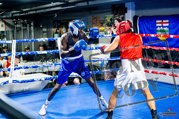 Cougar boxing June 7th 2025-0422