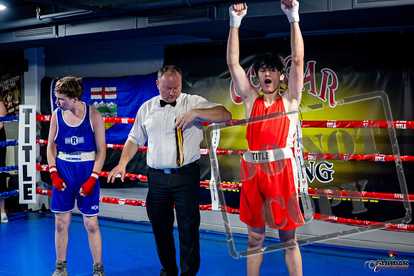 Cougar boxing June 7th 2025-0931