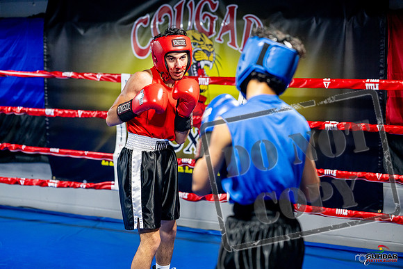 Cougar boxing June 7th 2025-0222