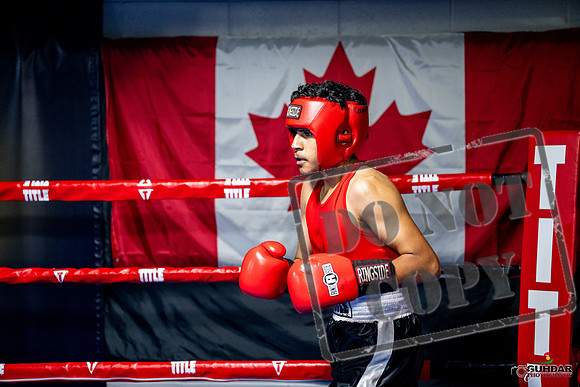 Cougar boxing June 7th 2025-0604