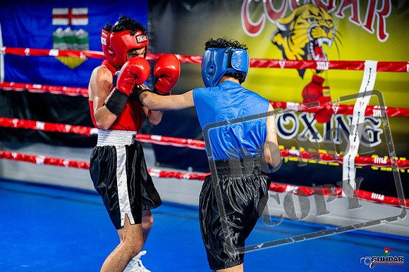 Cougar boxing June 7th 2025-0251