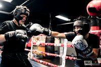 Cougar Boxing 2025