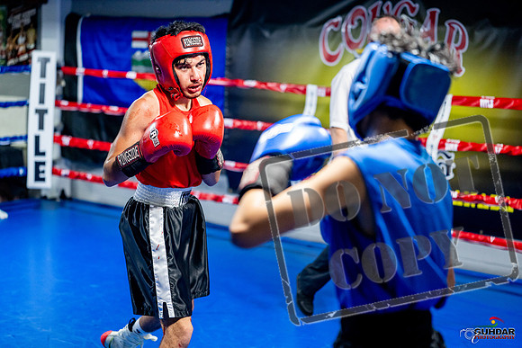 Cougar boxing June 7th 2025-0244
