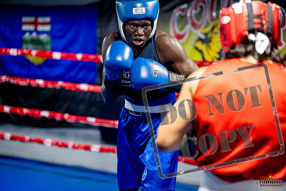 Cougar boxing June 7th 2025-0446