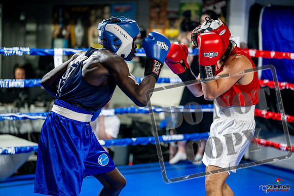 Cougar boxing June 7th 2025-0493