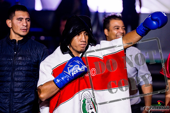 Alliance Boxing -0517