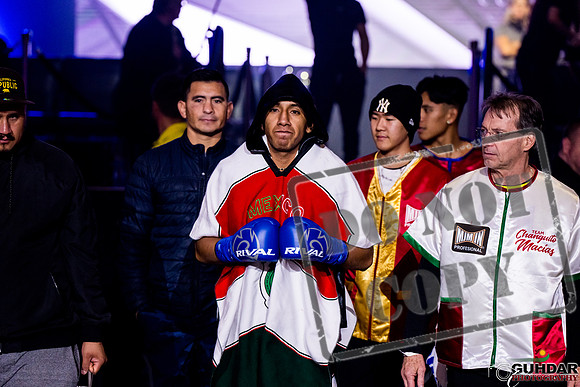 Alliance Boxing -0516