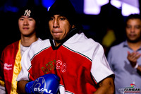 Alliance Boxing -0520