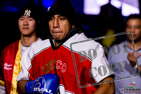 Alliance Boxing -0520