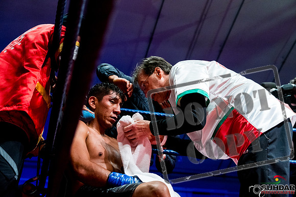 Alliance Boxing -0643