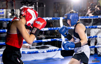 Cougar Boxing Basement Brawl. Dec 6 2025 -0009