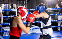 Cougar Boxing Basement Brawl. Dec 6 2025 -0011