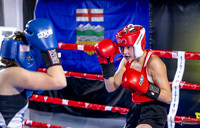Cougar Boxing Basement Brawl. Dec 6 2025 -0014