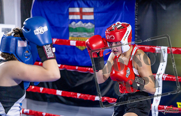Cougar Boxing Basement Brawl. Dec 6 2025 -0014
