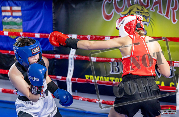 Cougar Boxing Basement Brawl. Dec 6 2025 -0017