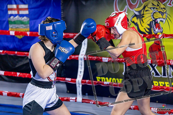 Cougar Boxing Basement Brawl. Dec 6 2025 -0020