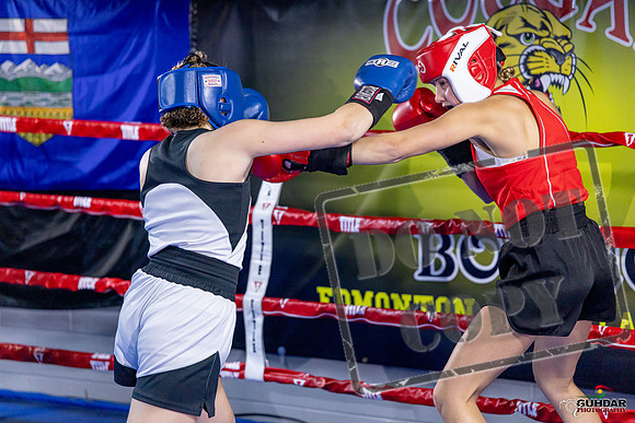 Cougar Boxing Basement Brawl. Dec 6 2025 -0022