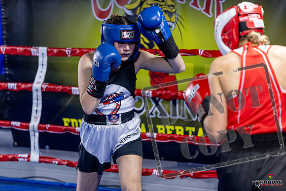 Cougar Boxing Basement Brawl. Dec 6 2025 -0023