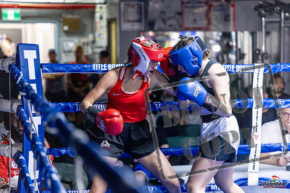 Cougar Boxing Basement Brawl. Dec 6 2025 -0033