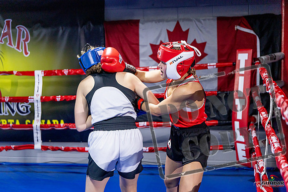 Cougar Boxing Basement Brawl. Dec 6 2025 -0036