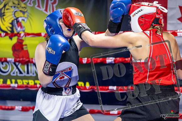 Cougar Boxing Basement Brawl. Dec 6 2025 -0037