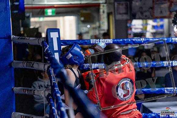 Cougar Boxing Basement Brawl. Dec 6 2025 -0042