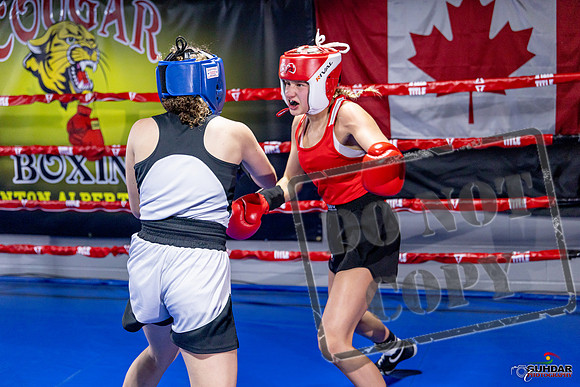 Cougar Boxing Basement Brawl. Dec 6 2025 -0049