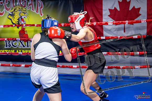 Cougar Boxing Basement Brawl. Dec 6 2025 -0050