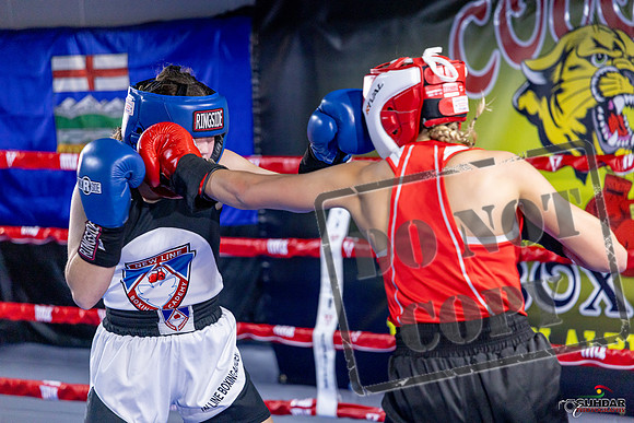 Cougar Boxing Basement Brawl. Dec 6 2025 -0056