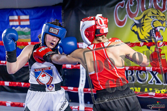 Cougar Boxing Basement Brawl. Dec 6 2025 -0057