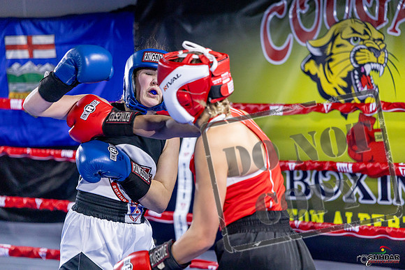 Cougar Boxing Basement Brawl. Dec 6 2025 -0058