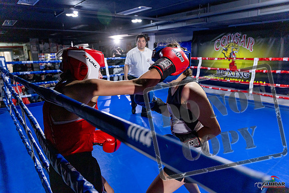 Cougar Boxing Basement Brawl. Dec 6 2025 -0061