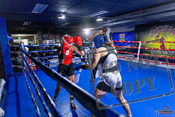 Cougar Boxing Basement Brawl. Dec 6 2025 -0062