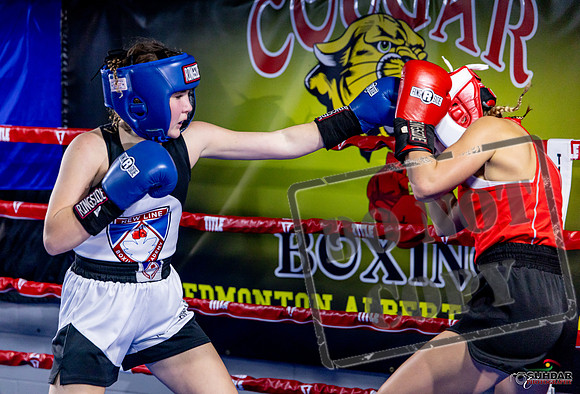 Cougar Boxing Basement Brawl. Dec 6 2025 -0071