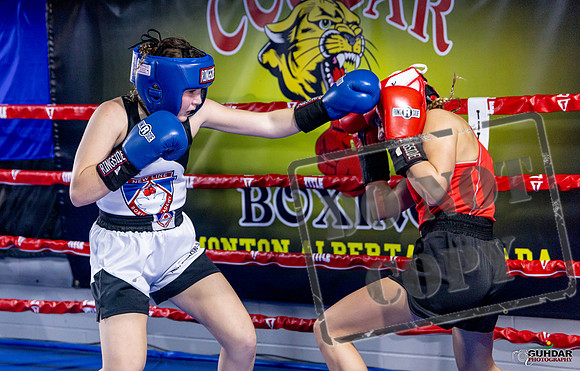 Cougar Boxing Basement Brawl. Dec 6 2025 -0072